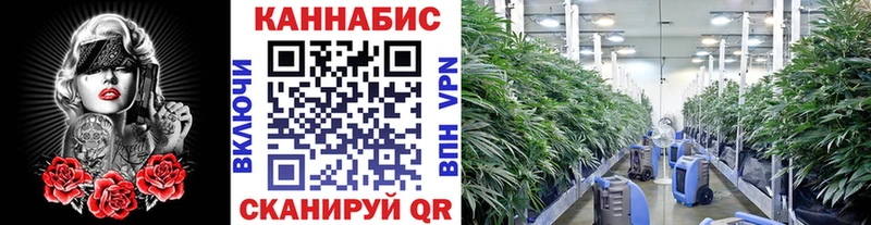 OMG   Абакан  Конопля семена  закладки 